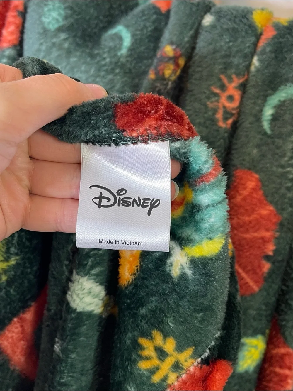 Disney Hocus Pocus Green Soft Blanket The Big One